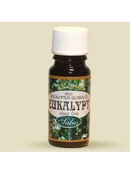 Eukalyptus